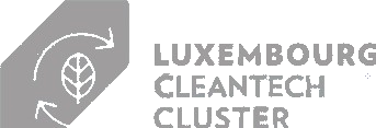 logo luxembourg ict cluster 